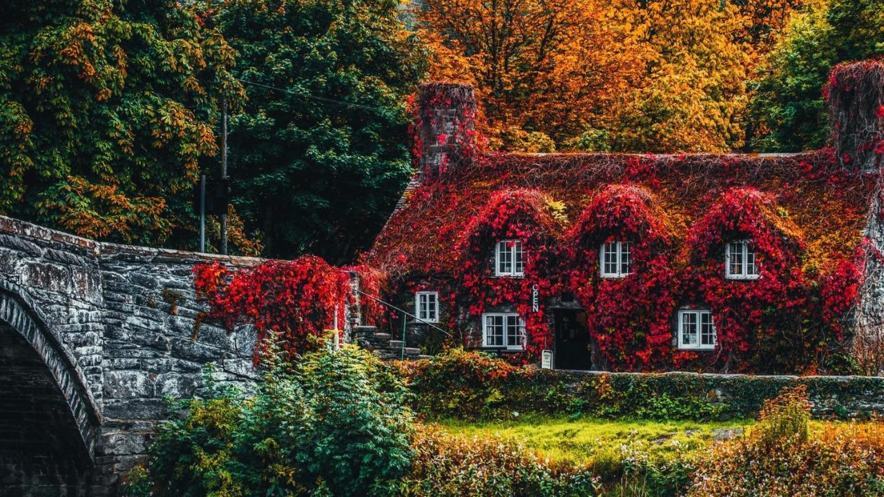 Sterling Bed & Breakfast Llandudno Rum bild